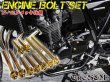 画像2: CB1100 SC65 2017~2018 専用 エンジンボルト ゴールドカラーボルト 41本set フランジボルト (2)