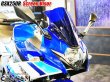 画像22: スクリーンバイザー フロントスクリーン  GSX250R 2BK-DN11A (22)