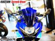 画像21: スクリーンバイザー フロントスクリーン  GSX250R 2BK-DN11A (21)