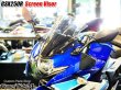 画像36: スクリーンバイザー フロントスクリーン  GSX250R 2BK-DN11A (36)