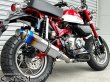 画像11: ★☆モンキー125 JB02 JB03 JB05 専用 チタンLook フルエキゾーストマフラー ワンズ管SP 選べるサイレンサー モンキー１２５ (11)