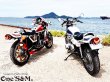 画像11: 愛媛県産 イーグルテールレンズ  Z1 Z2 ZI ZII 750RS Z750T KH250 KH400 (11)